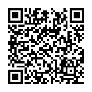 而是继续前往白氏家族和归然家族这两大远古家族二维码生成