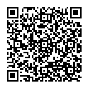 而是许紫烟从雷霆仙府中收刮的那张晶髓大床上切割下来无数小块晶髓放置在里面二维码生成