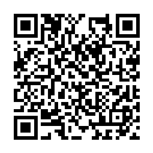 而是走到了那个手中还攥着那株伞叶草的女修跟前二维码生成