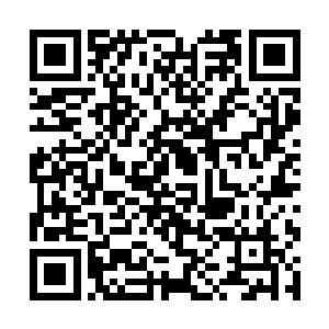 而是选择绕行……这举动在谢宜眼里简直是自取灭亡二维码生成