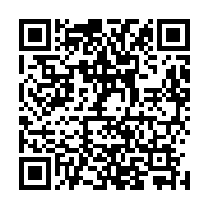 而是通过黛玻菈帮他成立的一个慈善基金来进行管理和运用二维码生成