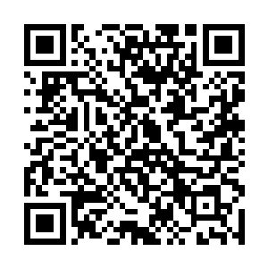 而是遇到了一个会让每一个游侠都感到棘手的盾卫者二维码生成