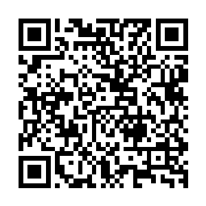 而是那温桥府府令不知道从哪里招来的手下力量实在太恐怖了二维码生成