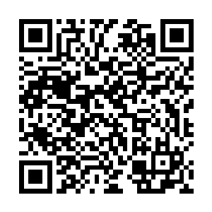 而是陆为民觉得现在自己需要一个相对能够放心的秘书二维码生成