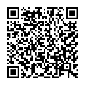 而是dandy这种意为极好的杰出的人或事物第一好的第一流的花花公子二维码生成