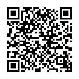 而最后清尘公子说的那句话就更奇怪…全都死光了二维码生成