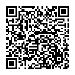 而最后还是年纪大一些的一个婢女见状不好悄悄去老夫人那边禀报二维码生成