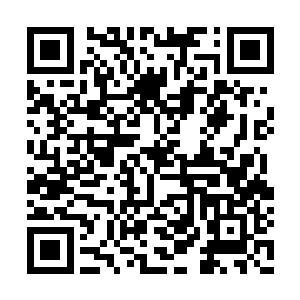 而最让秦宇觉得惊讶的是那莲花台中的那条金龙二维码生成