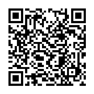 而本尊受伤的消息根本就没有隐藏多久就传了出去二维码生成