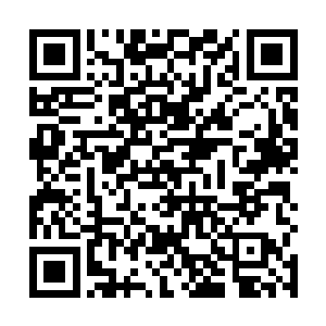 而机关和基层千部之间的互动交流也逐渐成为一种潮流二维码生成