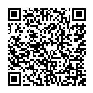 而李燕身后的李家人听到李燕喊出秦国师三个字的时候也是一脸的诚惶诚恐二维码生成