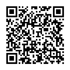 而李金方则是守在了房屋后墙上开出的洞口旁边二维码生成