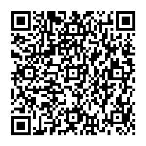 而杨晨接二连三的拿出了如此众多品阶如此之高的灵器除了掌门的徒弟还有谁有这个待遇二维码生成