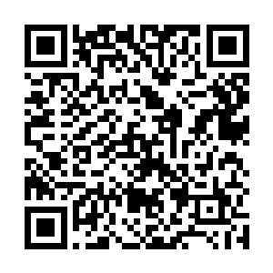 而杨肖玫虽然没办法把斯科拉这样一位大人物当透明人二维码生成