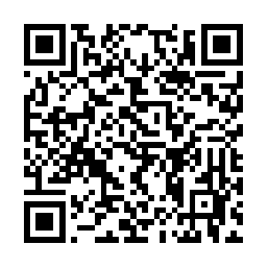 而林小乖也收到闻淑珍塞过来的一大包吃的和用的二维码生成