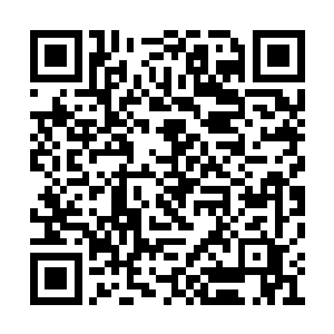而林烽也是恋恋不舍地再看了几眼美丽的徐老师二维码生成
