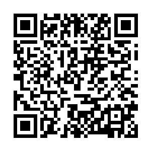 而林铭刚才给这团荒之血肉下达的命令便是四散辐射二维码生成