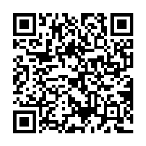 而棺材外面的血色的光罩此时也是开始剧烈的颤抖起来二维码生成