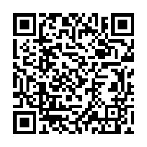 而正在半空之中冲锋的鬼脸身体也是直接停在了那里二维码生成