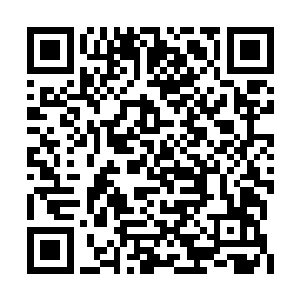 而正是老转轮王下令派出军队跟冥王星域交战的二维码生成