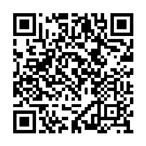 而此刻整个孟家所有的孟家族人也全都冲了过来二维码生成