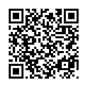 而此刻的他却是完完整整的真人一个二维码生成