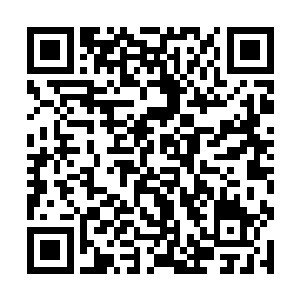而此时元保国突然看到元彩凤躲在几个年轻人的身后二维码生成