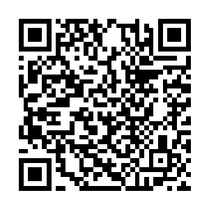 而此时寨主从梁山泊带来的人马加上岛上三营人马二维码生成