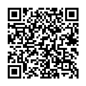 而此时李涛他们正带着人在丛林一侧向丛林边缘的营地狂奔二维码生成