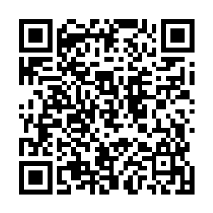 而此时混沌兽的另一只巨头正拐过弯向着许紫烟咬了过去二维码生成