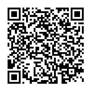 而此时的苗毅正在林萍萍和罗平的陪同下走进了事先准备好的院子二维码生成