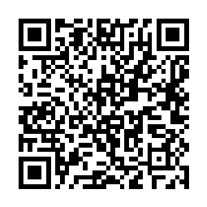 而此时的苦烟和战杰已经没有时间去理会金无锋等人二维码生成