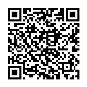 而此时的许紫烟不仅仅注意到了白玉石柱之间的傀儡二维码生成