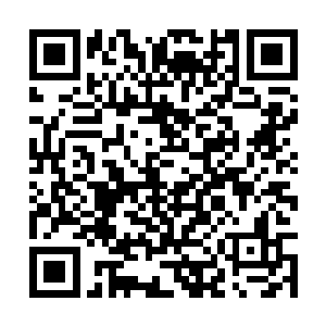 而此时的雷欢喜摸了摸口袋里丁建国给自己的那个U盘二维码生成