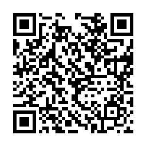 而此时龙傲天身上的气息也是变得越来越恐怖起来二维码生成