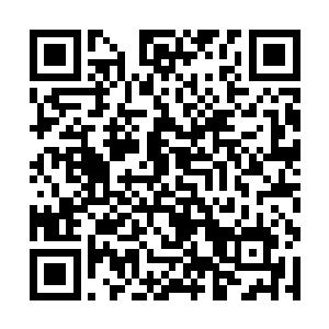 而每年幻想着进入好莱坞一夜成名的人更是数不胜数二维码生成