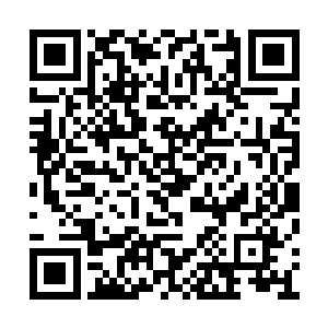 而每条山脉的下面竟然都有一条无比恐怖的龙脉二维码生成