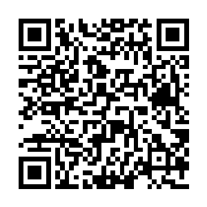 而毒龙会也需要留下人手来照顾保护受伤的兄弟二维码生成