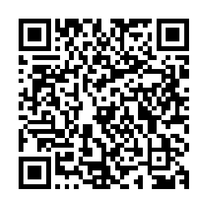 而河里的食人鱼也暂时将目标放在坠水的被扎得变样的同类身上二维码生成