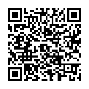 而流墨墨一看他们集体的沉默脸就知道是什么意思二维码生成