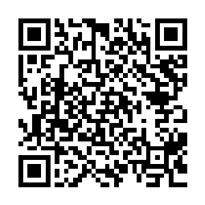 而流墨墨他们也难得的看到了和自己这边外形一般的人族队伍二维码生成