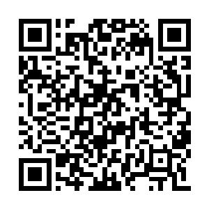 而流墨墨的私有物们也在这时接到流墨墨的传音二维码生成