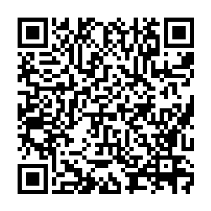 而潘晓良悍然推出了宣传部长张海鹏这一冷门人选担任市委副书记这一建议二维码生成