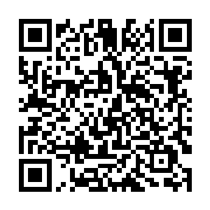 而熟悉自己舅舅的陌路离殇见状只忍不住翻了个白眼二维码生成