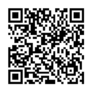 而现在你遭遇地狱门和阎罗殿两大杀手组织的人联合暗杀二维码生成