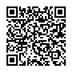 而现在的苏凡和龙麟从菲尔特赌场之后就没有停留过二维码生成