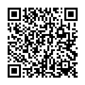 而现在竟然这般轻易的就被四名來路不明的老者给击杀二维码生成