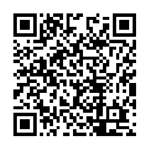 而现在这个改变对他们来说绝对是一个天大的福音二维码生成