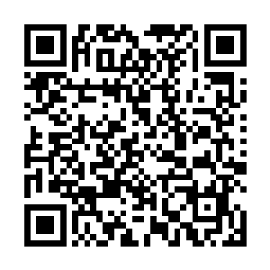 而琴止戈端是那一张脸跟无时无刻不在散发的男神之气二维码生成