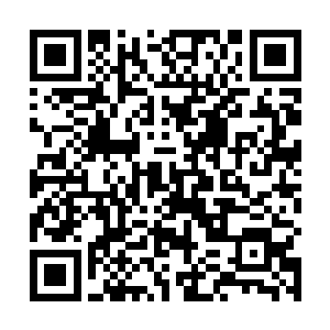 而生命之树和梦境之原木都是包含生命之力的奇迹古木二维码生成